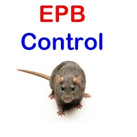 Essex Pest Control and Bird Control 377007 Image 0